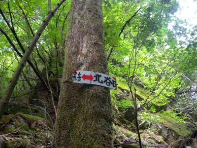 e0272335_20515785.jpg