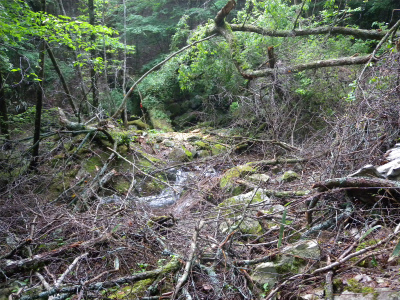 e0272335_2054355.jpg