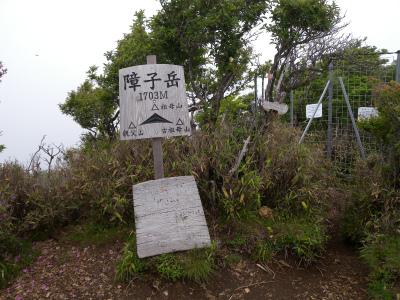e0272335_21194356.jpg