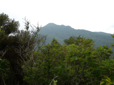e0272335_2138641.jpg