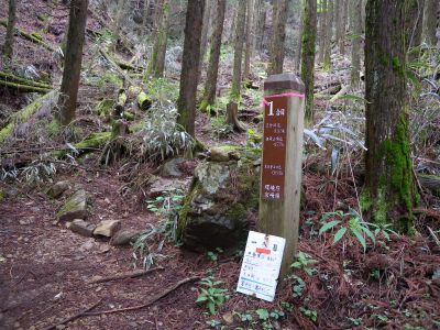 e0272335_2139415.jpg