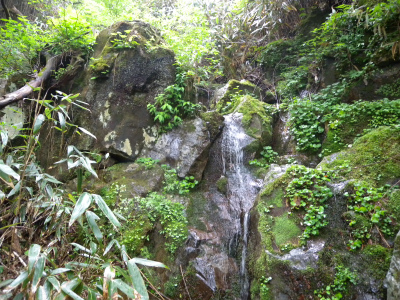 e0272335_218733.jpg