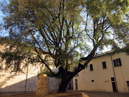 f0234936_230304.jpg