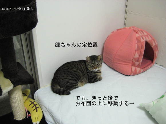 f0247039_1926071.jpg