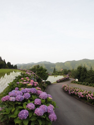 b0199742_22135438.jpg