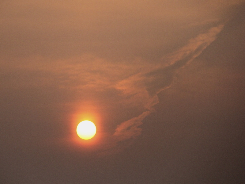 f0281446_05433676.jpg