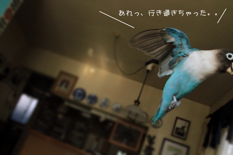 c0145250_1112161.jpg