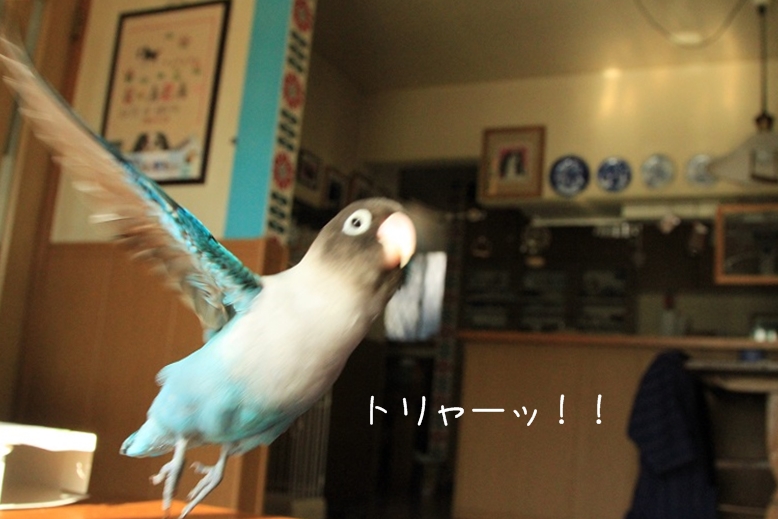 c0145250_1113959.jpg
