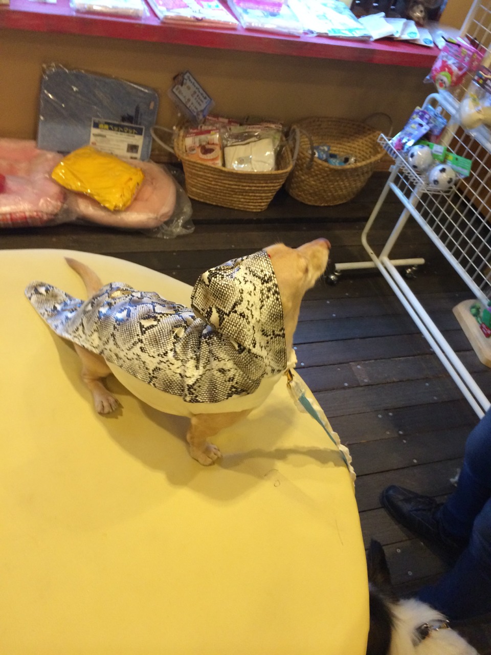 c0245751_13494633.jpeg