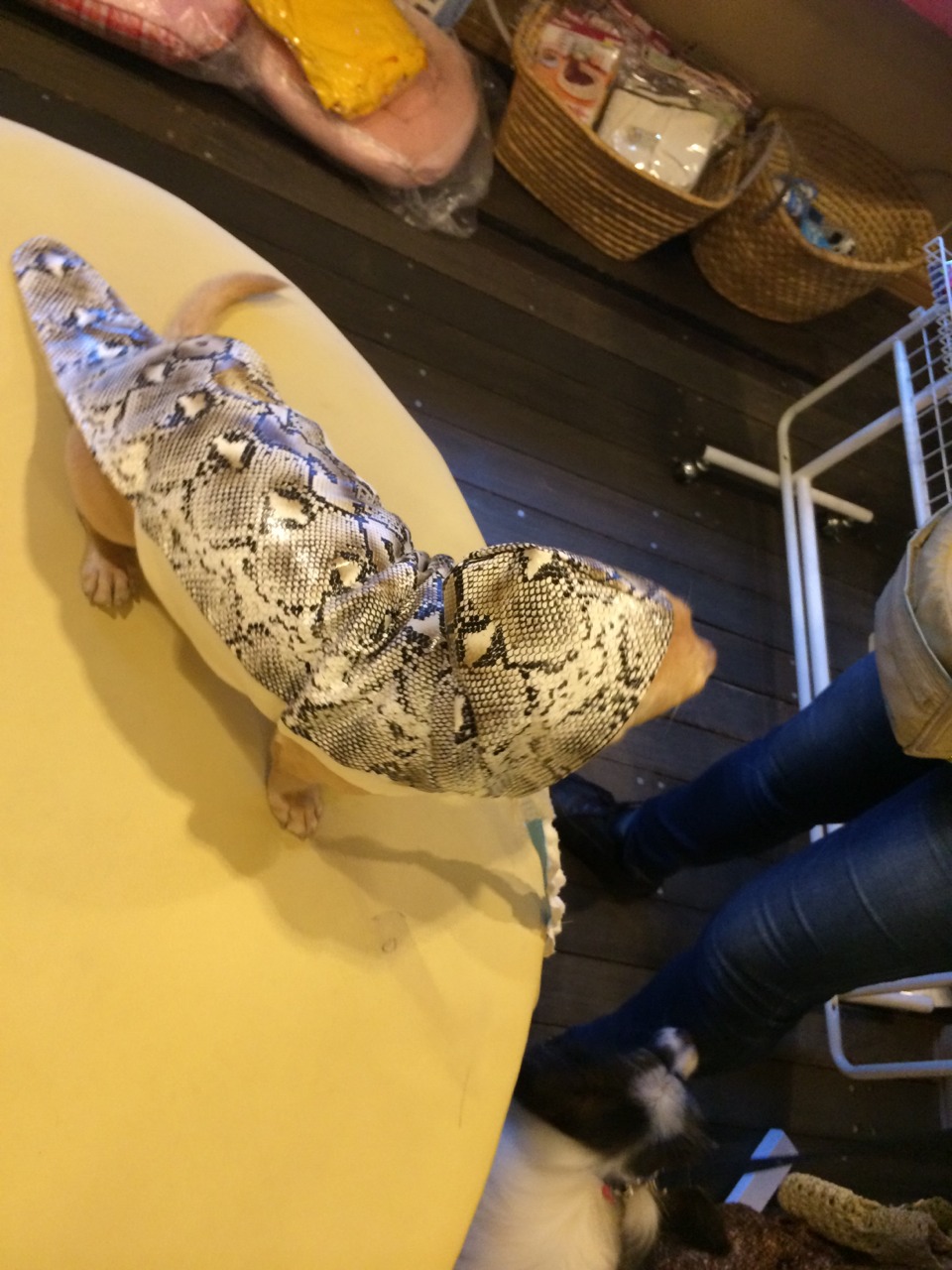 c0245751_13501389.jpeg