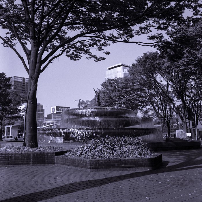 b0175964_162040.jpg