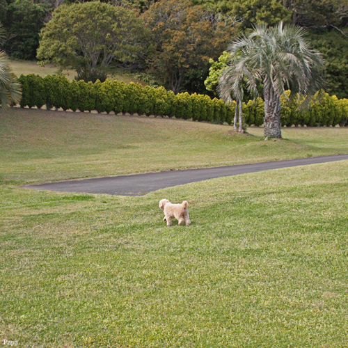 c0161578_23343510.jpg