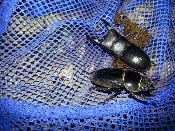 f0183484_16483853.jpg