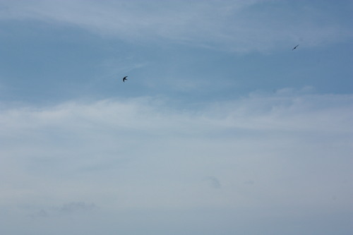 c0204385_183656100.jpg