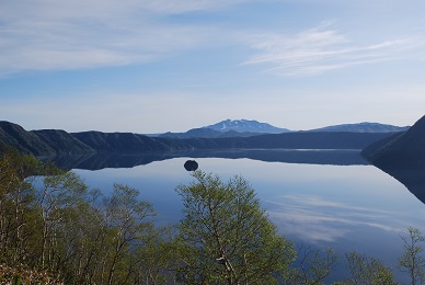 a0133886_16395676.jpg