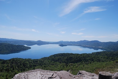 a0133886_16461611.jpg
