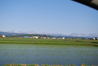 a0133886_16503817.jpg