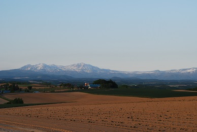 a0133886_16531486.jpg