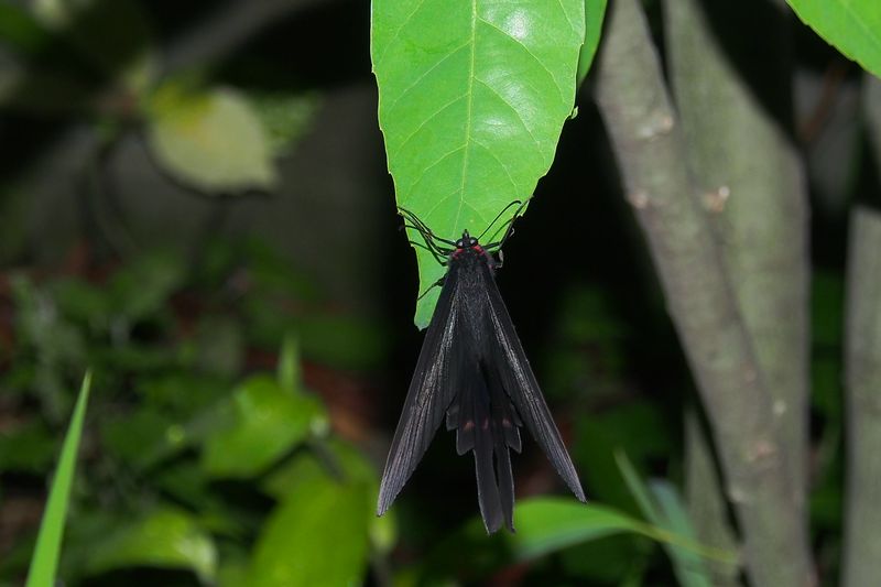 b0108186_2338568.jpg