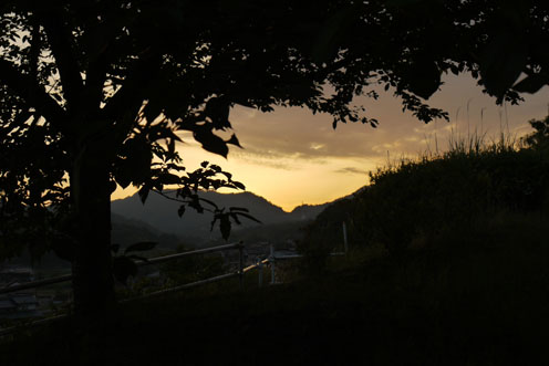 f0222692_2021986.jpg