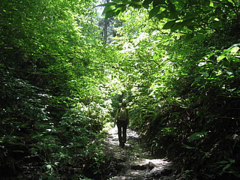 d0046702_18473448.jpg