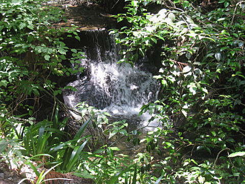 d0046702_18474254.jpg