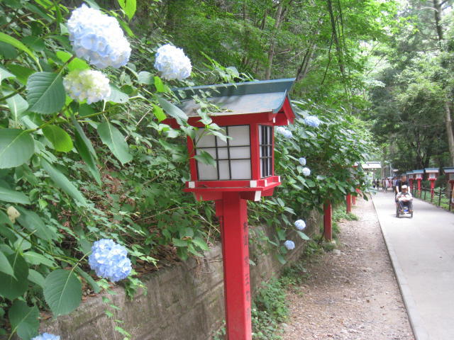 d0046702_18483175.jpg