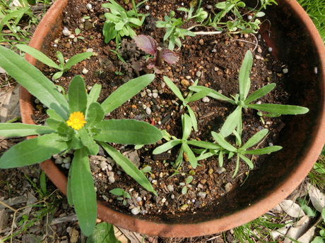 a0203003_22482985.jpg