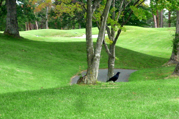 a0214206_12383840.jpg