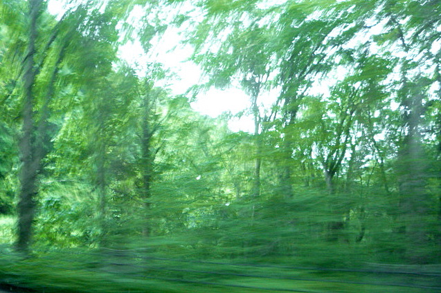 a0214206_12404663.jpg