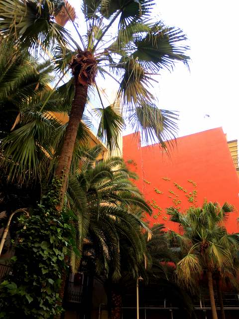 b0064411_06151142.jpg