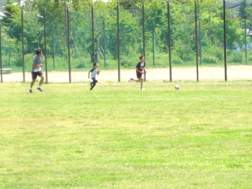 d0160611_10574076.png