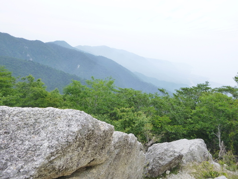 d0170615_1036276.jpg