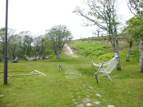 d0170615_10374038.jpg