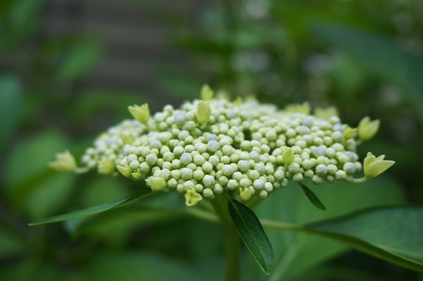 b0068423_22133737.jpg