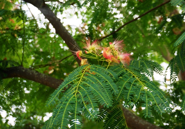 b0068423_22163049.jpg