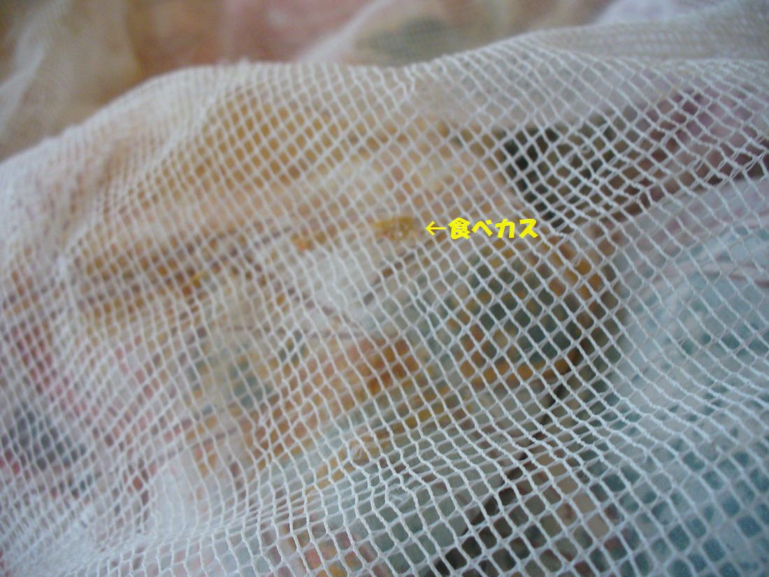 f0346527_22243834.jpg