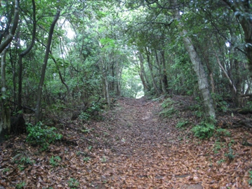 c0077338_1940343.jpg