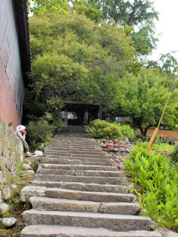 b0199742_6552498.jpg