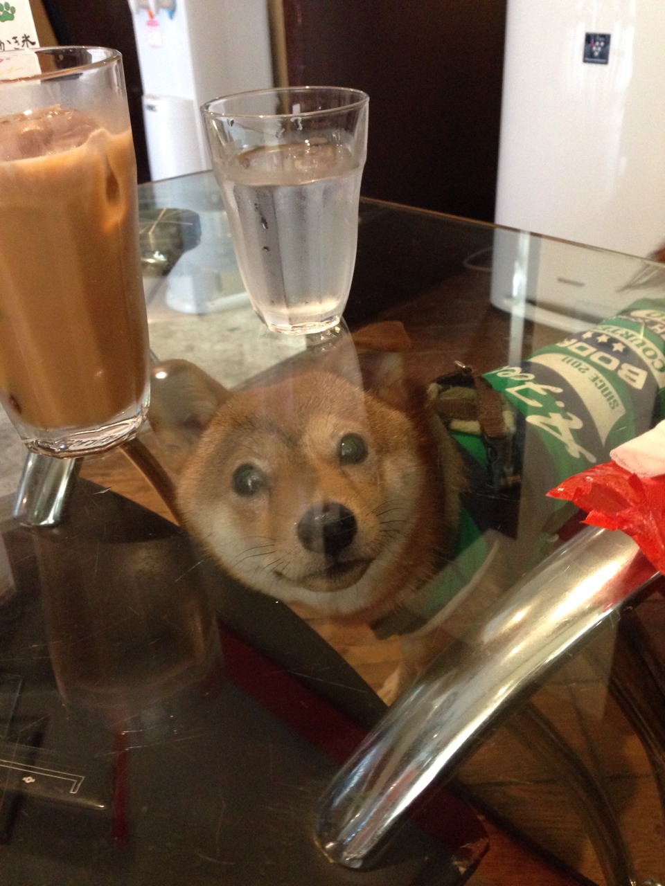 c0245751_11382624.jpeg