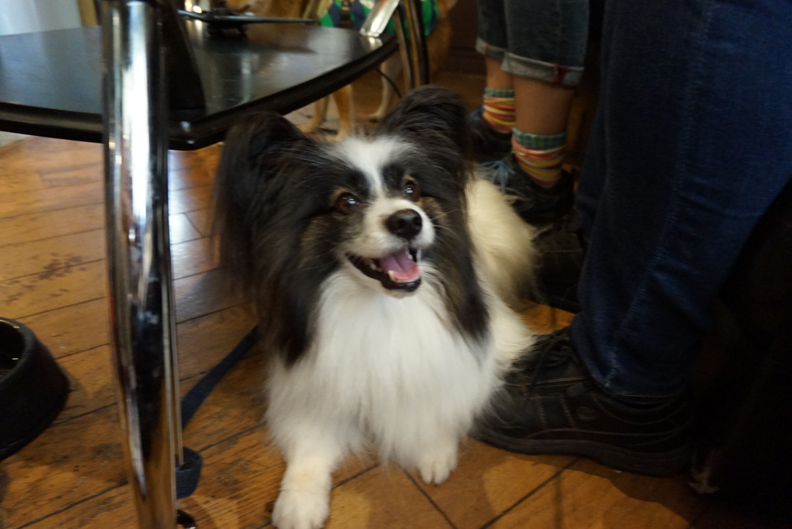 c0245751_11383021.jpeg