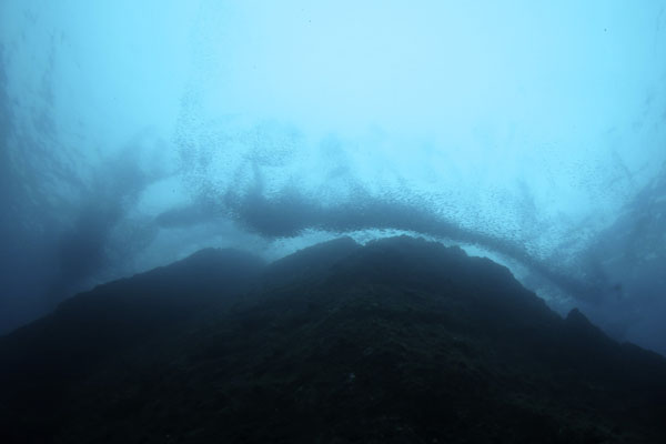 b0062363_7214454.jpg