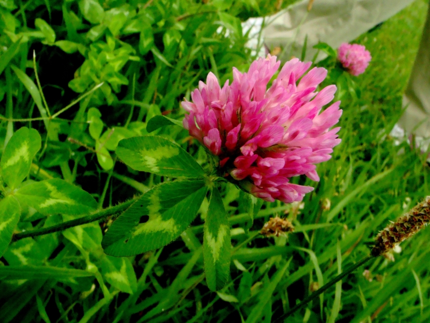 d0031171_8485890.jpg