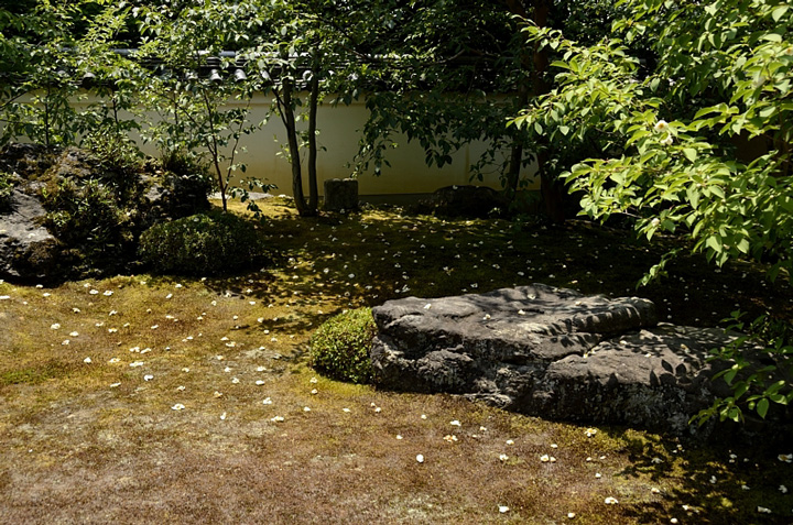 f0108478_212728.jpg