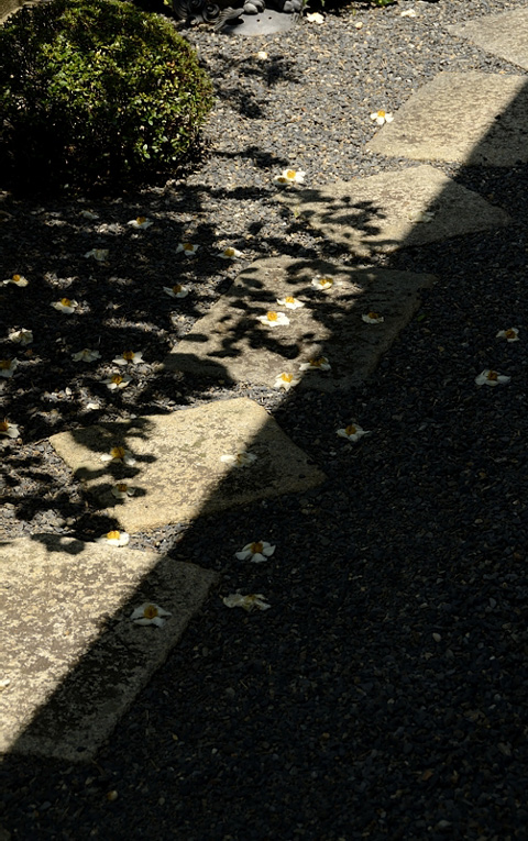 f0108478_2134650.jpg