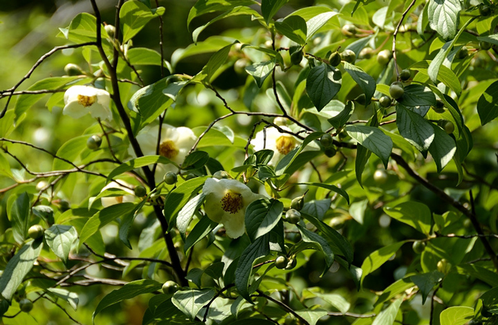 f0108478_2162186.jpg