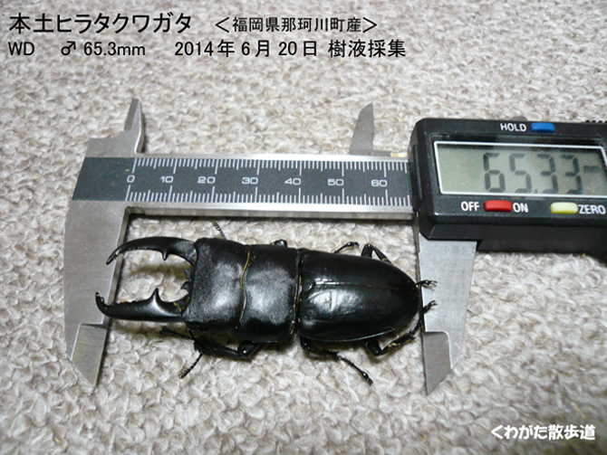 f0183484_17181243.jpg