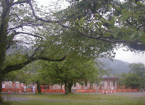 d0053294_165267.jpg