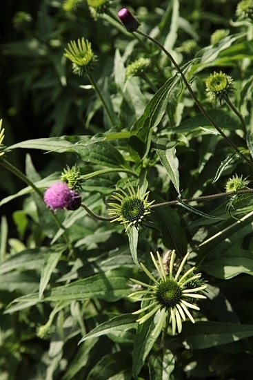 e0209997_21171415.jpg