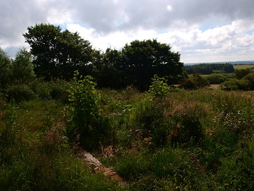 b0110999_20253728.jpg